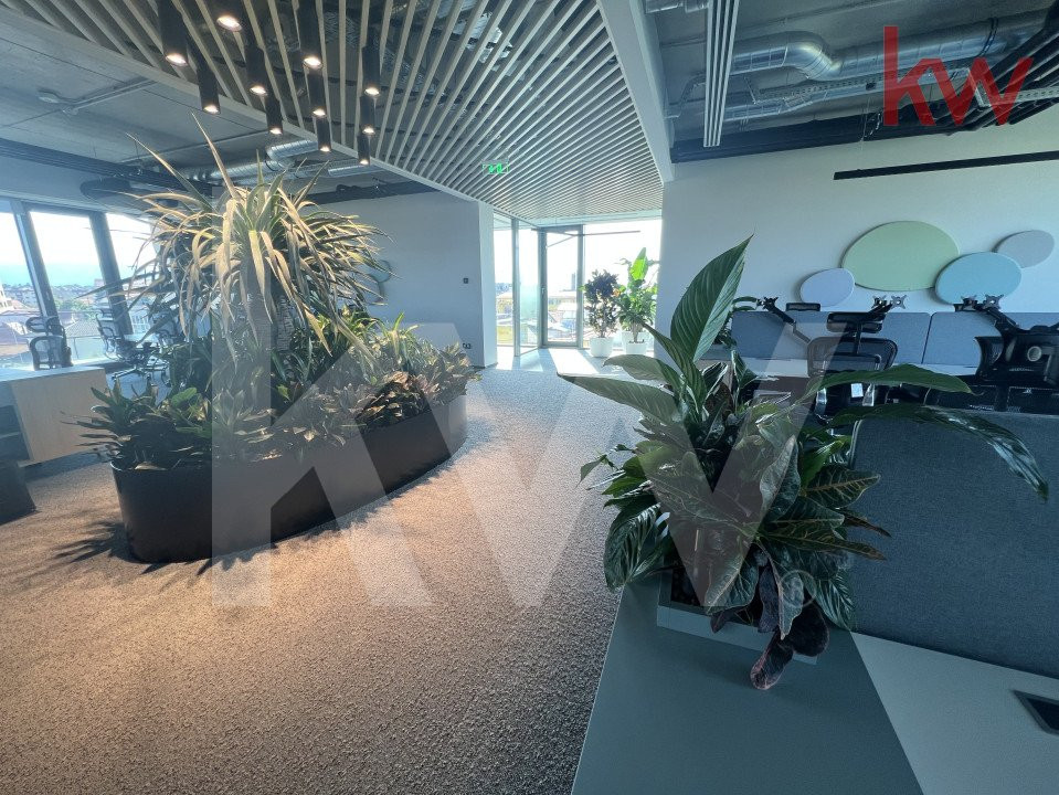 Birouri Premium | Design Futurist | Eficiență | Spații Verzi 