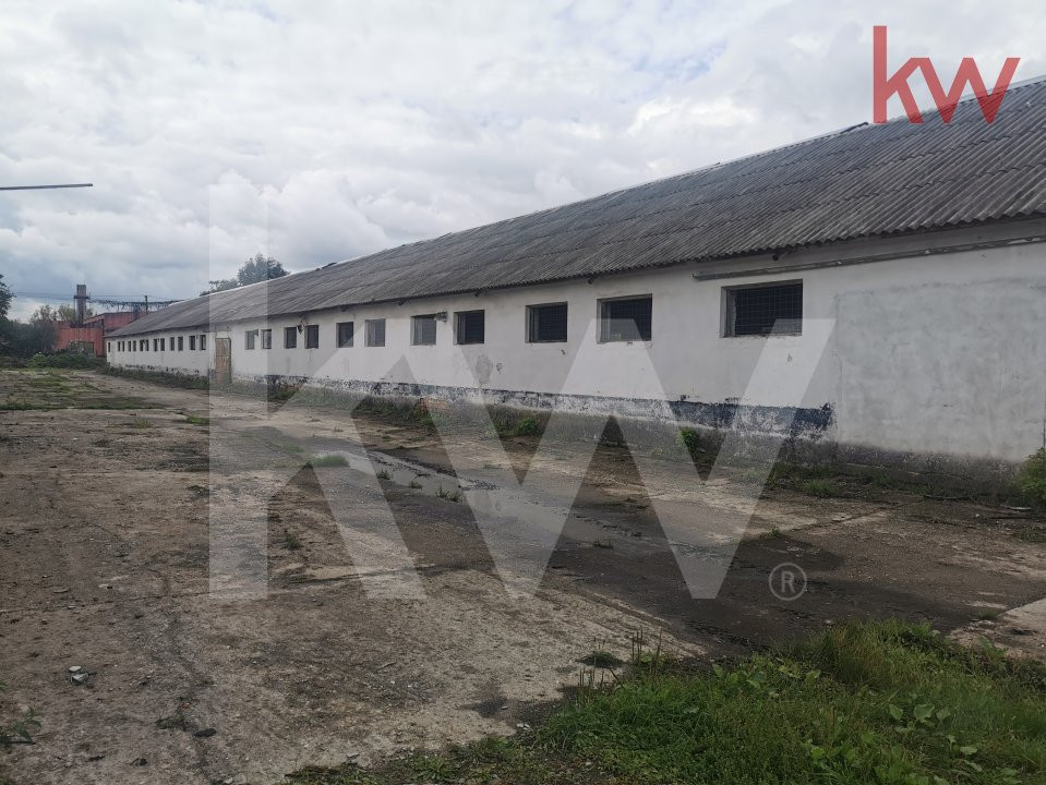 Vand 2 depozite, hale vechi, adapost agricol , curte betonata, Agarbiciu - Sibiu