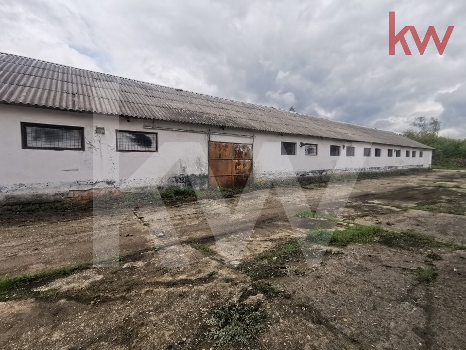 Vand 2 depozite, hale vechi, adapost agricol , curte betonata, Agarbiciu - Sibiu