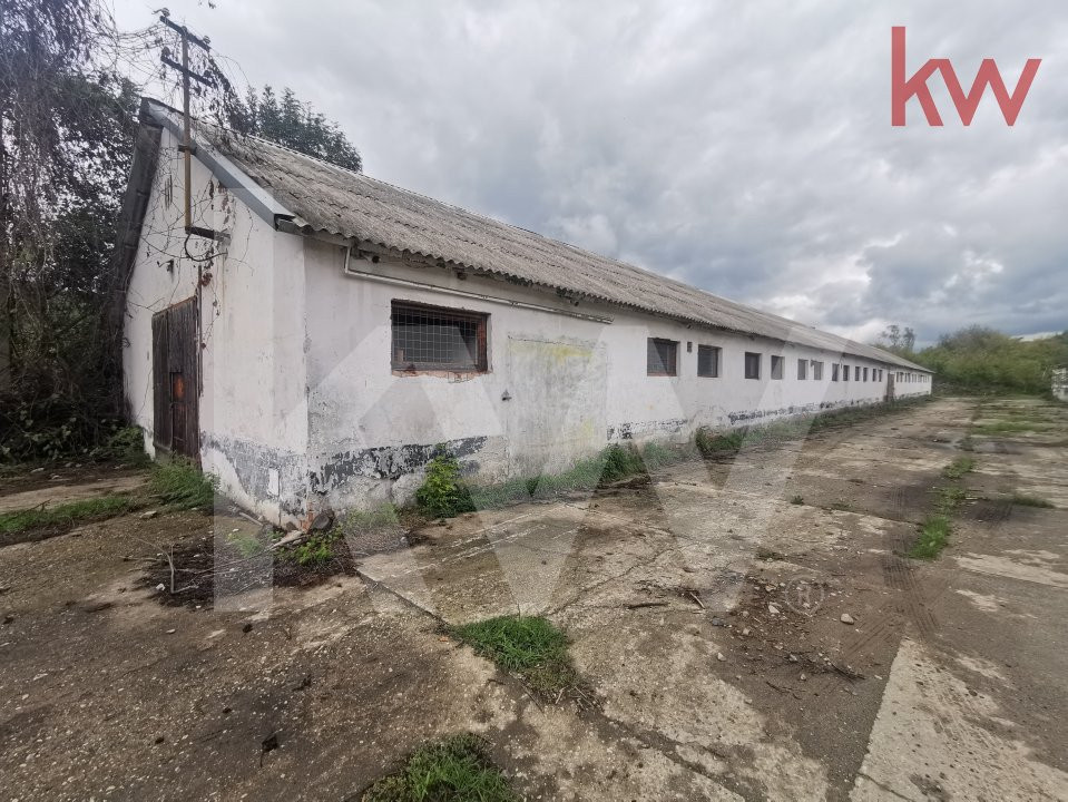 Vand 2 depozite, hale vechi, adapost agricol , curte betonata, Agarbiciu - Sibiu