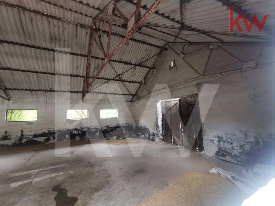 Vand 2 depozite, hale vechi, adapost agricol , curte betonata, Agarbiciu - Sibiu