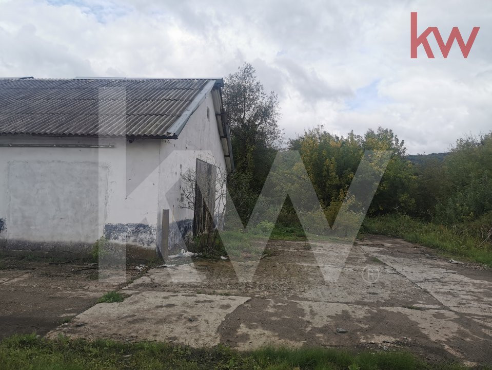 Vand 2 depozite, hale vechi, adapost agricol , curte betonata, Agarbiciu - Sibiu