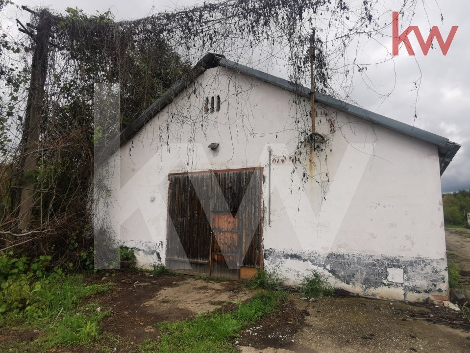 Vand 2 depozite, hale vechi, adapost agricol , curte betonata, Agarbiciu - Sibiu