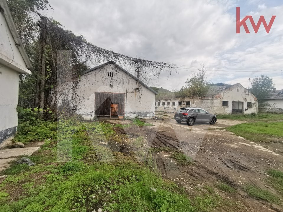 Vand 2 depozite, hale vechi, adapost agricol , curte betonata, Agarbiciu - Sibiu
