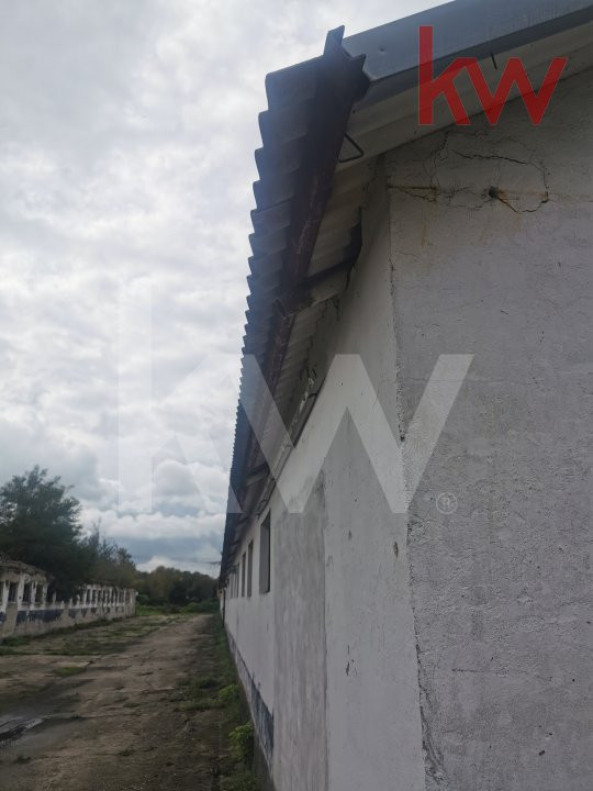 Vand 2 depozite, hale vechi, adapost agricol , curte betonata, Agarbiciu - Sibiu