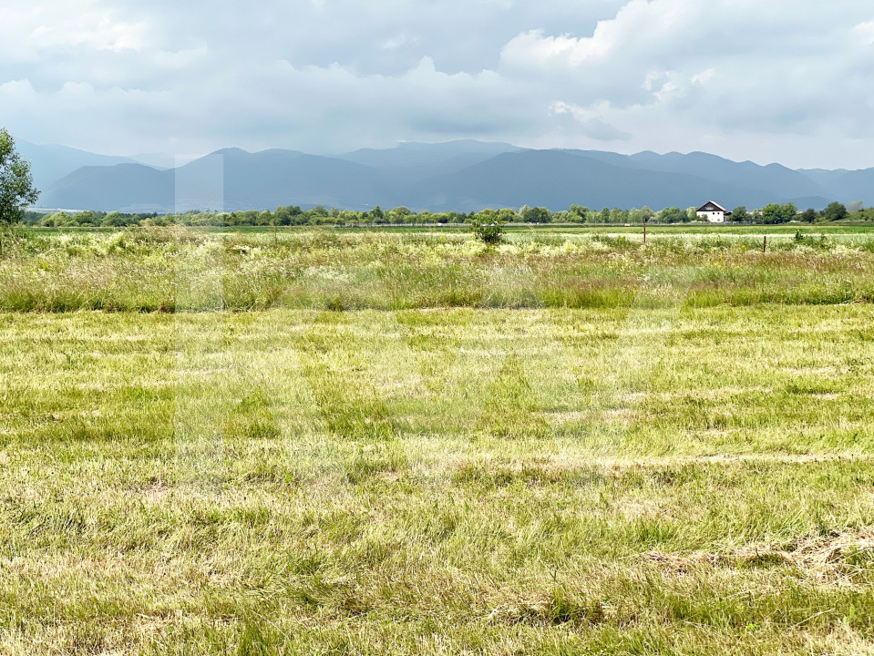 Teren Intravilan 438 mp cu PUZ în Sibiu, Zona Turnișor