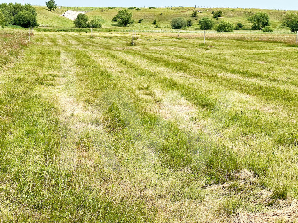 Teren Intravilan 438 mp cu PUZ în Sibiu, Zona Turnișor