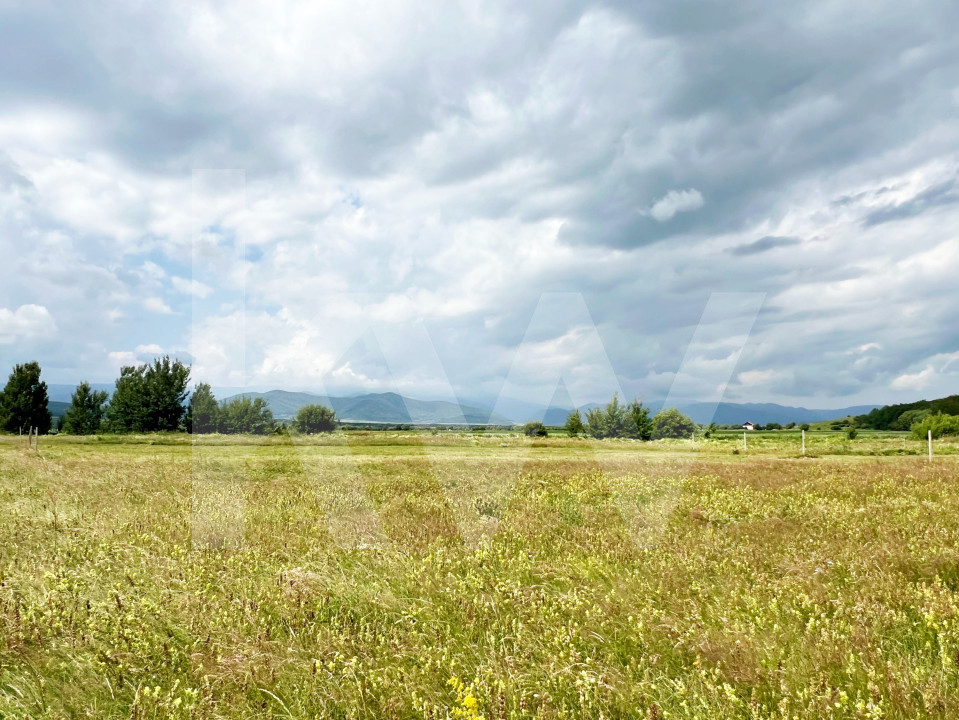 Teren Intravilan 438 mp cu PUZ în Sibiu, Zona Turnișor